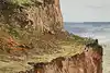 Thumbnail image 8