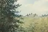 Thumbnail image 5