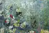 Thumbnail image 10
