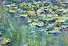 Thumbnail image 7