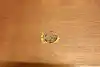 Thumbnail image 15