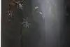 Thumbnail image 16