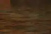 Thumbnail image 15