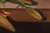 Thumbnail image 9
