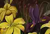 Thumbnail image 9