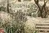 Thumbnail image 7
