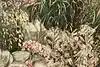 Thumbnail image 8