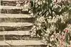 Thumbnail image 9