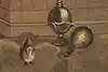 Thumbnail image 16