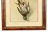 Thumbnail image 5