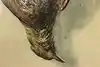 Thumbnail image 9