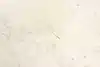 Thumbnail image 15