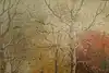 Thumbnail image 7
