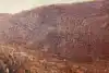 Thumbnail image 10
