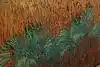 Thumbnail image 12