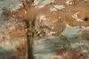 Thumbnail image 6