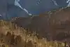Thumbnail image 9