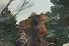 Thumbnail image 9