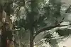Thumbnail image 6