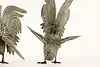 Thumbnail image 6