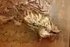 Thumbnail image 13