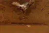 Thumbnail image 14