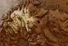 Thumbnail image 16