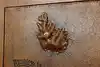 Thumbnail image 17