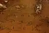 Thumbnail image 8