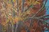 Thumbnail image 10