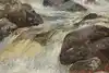 Thumbnail image 6
