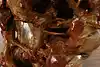 Thumbnail image 23