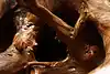 Thumbnail image 24