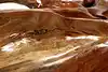 Thumbnail image 25