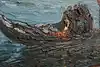 Thumbnail image 11