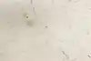 Thumbnail image 16