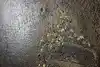 Thumbnail image 10