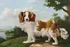 Thumbnail image 1