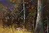 Thumbnail image 8