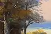 Thumbnail image 9