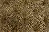 Thumbnail image 6