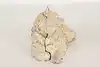 Thumbnail image 6