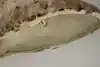 Thumbnail image 9