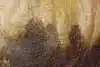 Thumbnail image 10