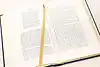 Thumbnail image 6