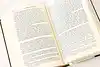 Thumbnail image 7