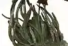 Thumbnail image 5