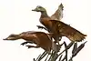 Thumbnail image 8