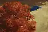 Thumbnail image 7