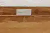 Thumbnail image 10